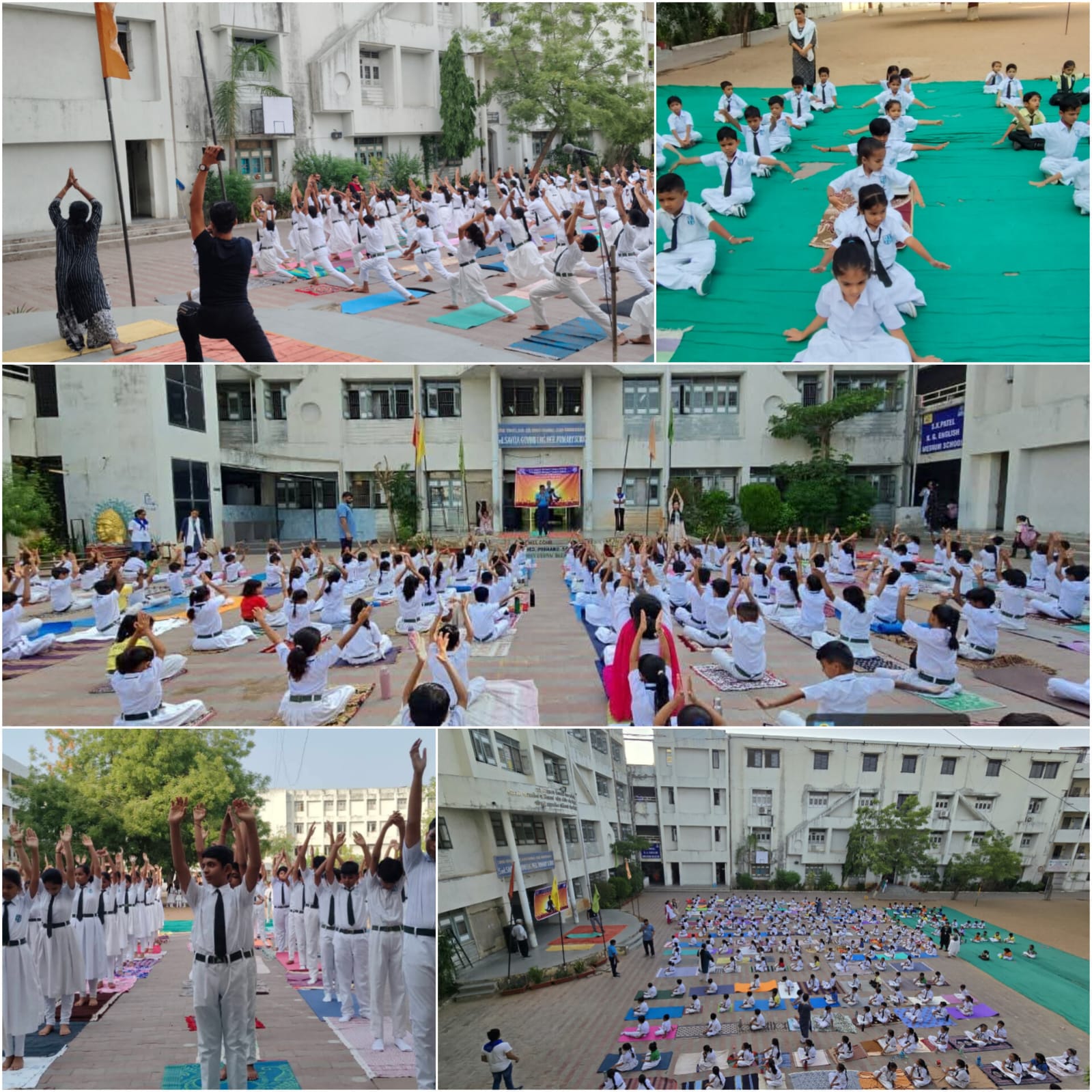 Yoga Week 2026